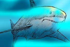 Shark attack statistics for 2021 reveal these creatures aren't as frightening as they are made out to be in the media. I M Changing My Exercise Habits After Fatal Shark Attack