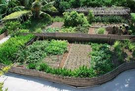 Idee Jardin Permaculture Avec Images Jardin Permaculture Amenagement Jardin Idees Jardin