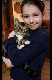 Had this little one attempt to come through our cat flap not too long ago.  Melody Road, haven't seen him before. Just wanna check he's not  lost/missing from anyone's home.