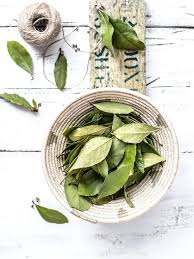 Muncul sebagai bubuk, yang berasal dari getah tanah dari akar tertentu. Ternyata Ini Fungsi Daun Salam Dalam Masakan Dan Kesehatan Lifestyle Fimela Com