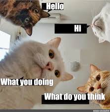 Hello how are you doing. Meme Hello Hi What You Doing What Do You Think All Templates Meme Arsenal Com