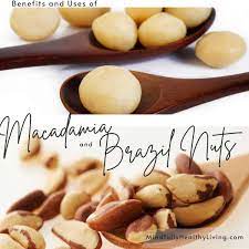 Macadamia and Brazil Nuts- Benefits and Uses
