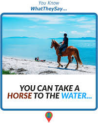 You Can Take A Horse To The Water
