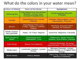 ion cleanse ion cleanse foot detox color chart