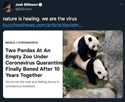 49 Memes that Prove Humans Are the Real Virus - Funny Gallery