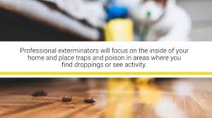 I pay $30 every 3 months and that includes bugs as well as mice and includes treating the inside, outside, and attic of the house. How Much Does Home Pest Control Cost Guard Pest Control