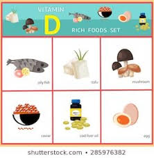 Vitamin Foods Set B1 B2 B3 Stock Vector Royalty Free 285964586 In 2020 Vitamin A Foods Vitamin D Rich Food Fruit List