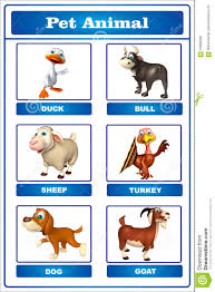 Pet Animal Chart Stock Illustration Illustration Of Sheep