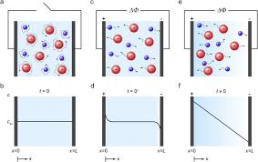 Diffusion And Migration In Polymer Electrolytes Sciencedirect