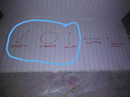 Pola lantai merupakan garis yang membentuk formasi penari saat melakukan gerak tari. Gambarlah Pola Lantai Vertikal Diagonal Dan Lingkaran Brainly Co Id