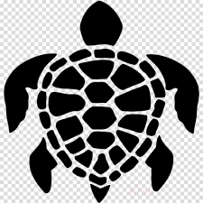 We did not find results for: Turtle Sea Turtle Tortoise Black And White Green Sea Turtle Clipart Turtle Sea Turtle Tortoise Transparent Clip Art