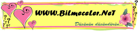Bilmece Soru Ve Cevaplari