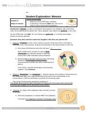 The paper student exploration energy conversions gizmo answer key. Meiosis Gizmo Part 2 Name Date Student Exploration Meiosis Part 2 Activity D Crossover Challenge Get The Gizmo Ready Select The Experimentation Course Hero