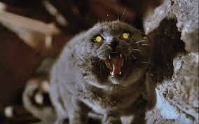 The special effects for the troll doll are pretty good and the ending is funny. 9 Exceedingly Creepy Cat Movies