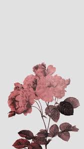 Rose Gold Tumblr Lockscreen Hintergrund Iphone Tapete Gold Iphone Hintegrunde Und 3d Hintergrund