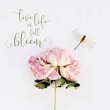 That's why these are known as flowers that mean i will love you forever. Quotes About Happiness Quotation Image Quotes Of The Day Description 2 9 17 Sharing Is Power Don T Forget To Share T Flower Quotes Bloom Quotes Bloom