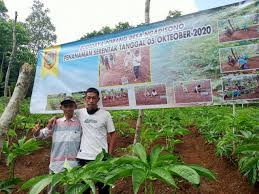 We did not find results for: Ini Tips Menanam Porang Dengan Benar Dijamin Berhasil Insulteng