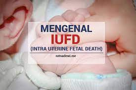 Pertanyaan literal a dimana dan kapan cerita itu terjadi b siapa saja tokoh cerita itu. Top 10 Pertanyaan Literal Dimana Dan Kapan Cerita Itu Terjadi Terbaru