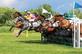 Every race has an energy requirement, so your horse must have at least that much energy available. 2018 Steeplechase Race Calendar Beneficiaries And Sponsors