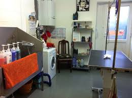 With over 68 years of combined experience, our team will provide honest and trustworthy services. Converting Garage Into Dog Grooming Salon Naturalsalons