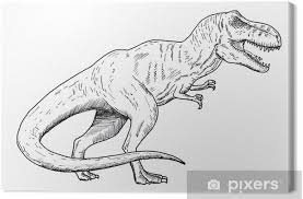 Die heb je in de raarste soorten en maten. Canvas Tekening Van Dinosaurus Hand Schets Van Tyrannosaurus Zwart En Wit Illustratie Pixers We Leven Om Te Veranderen