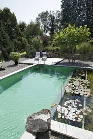 Natural Swimming Pool Design