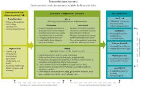 Https Www Ngfs Net Sites Default Files Medias Documents Case Studies Of Environmental Risk Analysis Methodologies Pdf