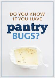 Do You Know If You Have Pantry Bugs What Do They Look Like In A Bag Of Flour Or Rice Pantry Bugs Pest Control Pests