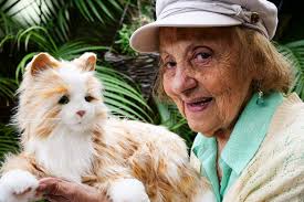 Robotic pets bring joy, return memories, improve interactions with aged  care residents