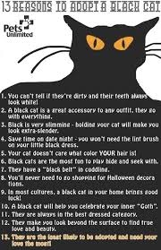 13 Reasons To Adopt A Black Cat Black Cat Appreciation Day Black Cat Day Black Cat