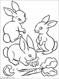 Kumpulan gambar kelinci lucu dan imut kumpulan gambar animasi. 66 Gambar Sketsa Hewan Terlengkap 2020 Marimewarnai Com