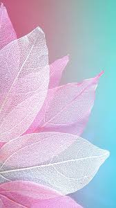 It adds beauty to the have a look at these funny and cool wallpapers and try relating it yourself, your siblings or your this funny wallpaper of octopus looks beautiful. 900 Cute Wallpapers Ideas In 2021 Cute Wallpapers Iphone Wallpaper Wallpaper Backgrounds