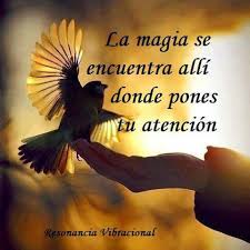 Resultado de imagen para imagenes de resonancia emocional