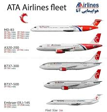 Image result for Tan 1992 Fleet