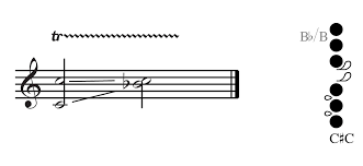 The Kingma System Bass Flute A Practical Guide For