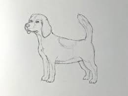 Den schritt wechseln (beim gehen, besonders beim marschieren, einmal zwei aufeinanderfolgende. Hund Zeichnen Lernen Komplette Und Einfache Anleitung