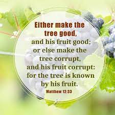We think the likely answer to this clue is papaya. Matthew 12 33 A Tree Is Known By Its Fruit Bible Verse Of The Day