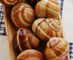 Pomodoro, lumache (helix aspersa muller) 30%, olio extra vergine di oliva, cipolla, prezzemolo, origano. Ricette Con Le Lumache La Scheda E La Cottura Delle Lumache