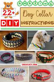 22 Amazing Diy Paracord Dog Collar Instructions Patterns Diy Dog Collar Dog Collar Pattern Dog Collar Diy Tutorials