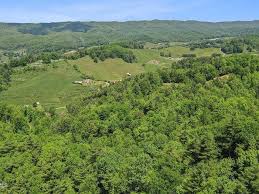 Tobacco Rd, Mountain City, TN 37683