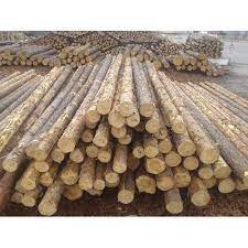 Find round wood fence posts at lowe's today. Nilgiri Wooden Fencing Poles Fencing Pole à¤« à¤¨ à¤¸ à¤ª à¤² à¤« à¤¨ à¤¸ à¤• à¤–à¤® à¤¬ The Paul Brothers Raipur Id 19235694597