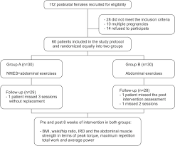 Neuromuscular Electrical Stimulation And Strength Recovery