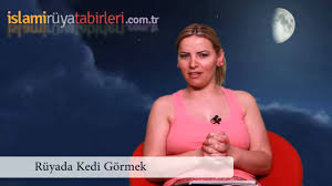 Ruyada Kedi Gormek Ne Demektir Ruyatabirleriislami Com Youtube