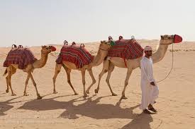 Remote deserts, obscure cultures, new. 6 Tips For Photographing Deserts