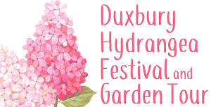 Duxbury Hydrangea Festival and Garden Tour