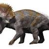 55 beste dinosaurus t rex kleurplaat top beste kleurplaat nl 75. 1