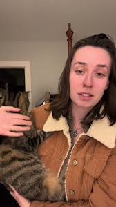 Grey Cat Jackson Update