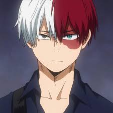 Shoto Todoroki Mha My Hero Academia Manga Hero My Hero Academia Shouto