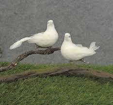 One hundred white mushrooms will provide hp/mana regeneration for 3 hours. 3 White Mushroom Feather Sitting Dove With Clip 2 Poses Box Of 2 Dozen Floral Supply