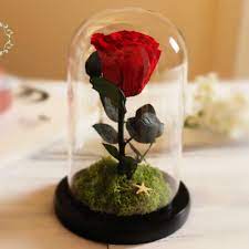 Gambar ini memiliki lisensi hak cipta dan tersedia untuk penggunaan komersial. Abadi Bunga Mawar Segar Penutup Kaca Kreatif Segar Diawetkan Bunga Mawar Pernikahan Rumah Pesta Ulang Tahun Dekorasi Mobil Flower Wedding Preserved Rosesglass Rose Aliexpress